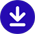 Download button